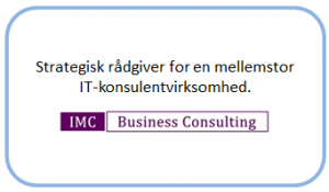 Rådgiver for it-konsulentvirksomhed